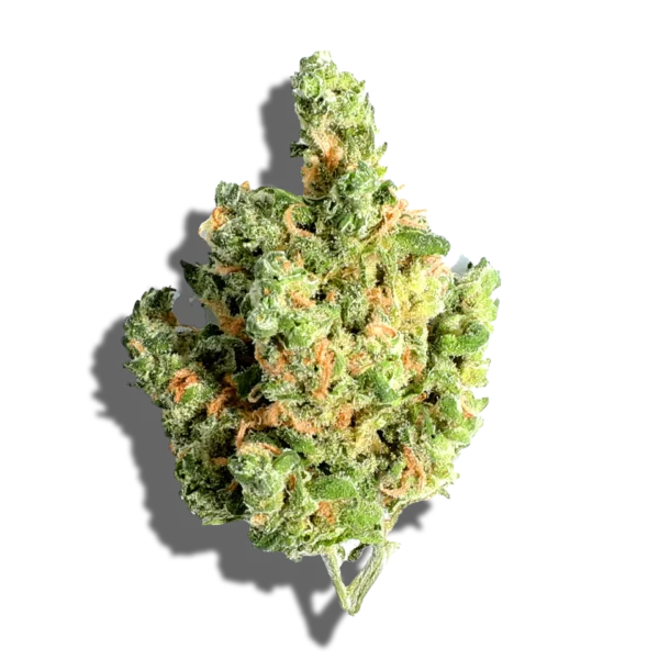 cannabis dispensary near me