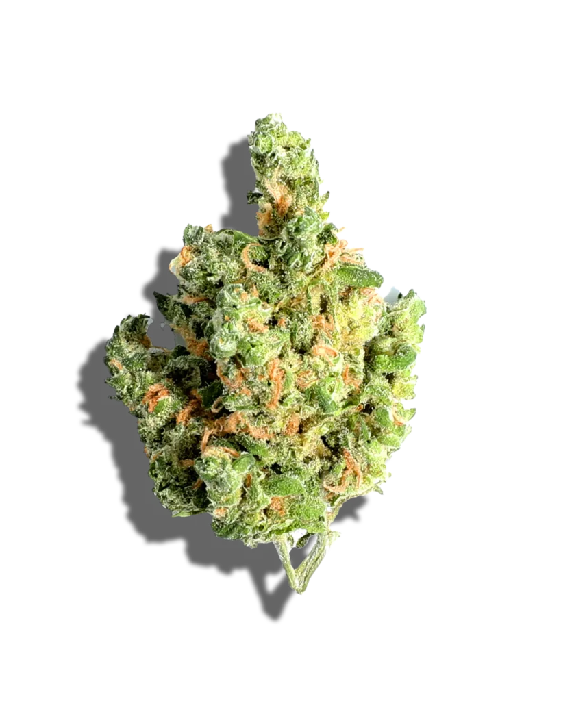 cannabis dispensary near me