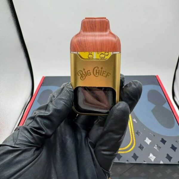 big chief duo 2g disposable