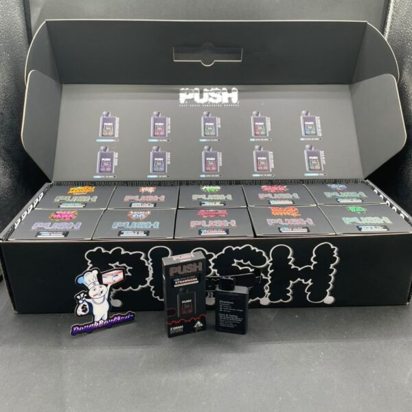 push 2g disposable with screen