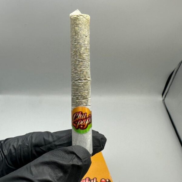 chu papi 2g premium indoors flowers 0.4 rosin