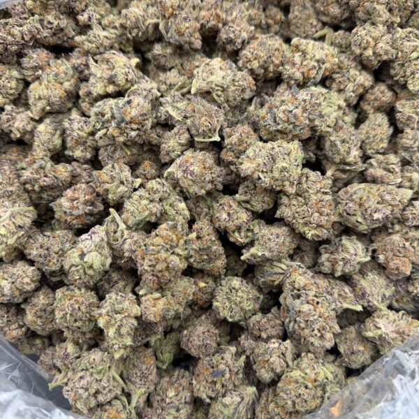 purple can yams strain