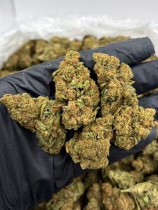 Sour Tangie Deps Strain