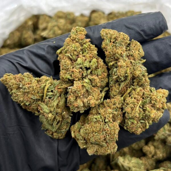Sour Tangie Deps Strain