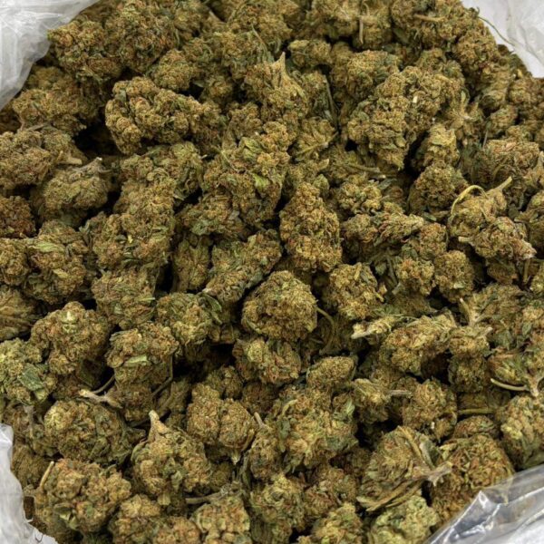 Sour Tangie Deps Strain