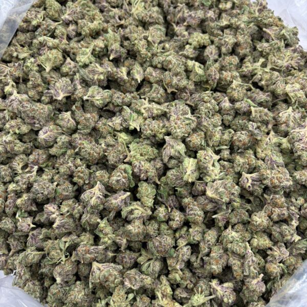 Strawberry Strudel Exotic Smalls Strain