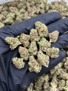 Strawberry Strudel Exotic Smalls Strain