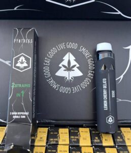 Pyntrees 2in1 Dual Tank 2G Disposable