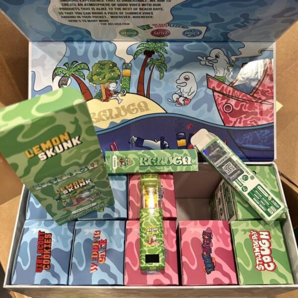 Beluga 3G Disposable