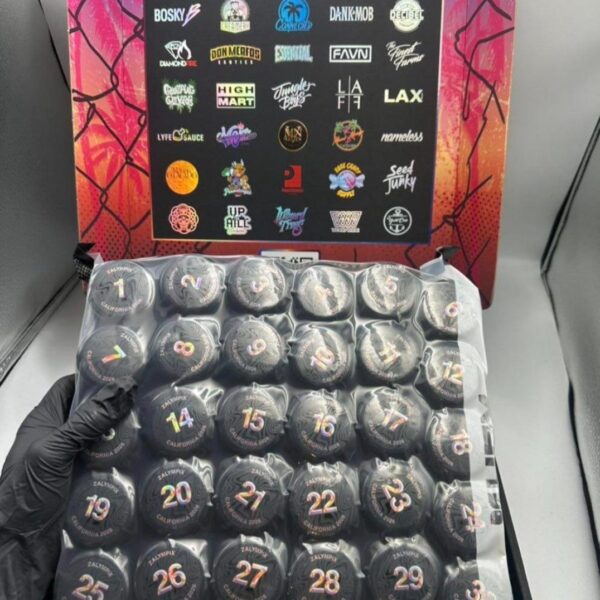 2026 California Zalympix Judge Kit