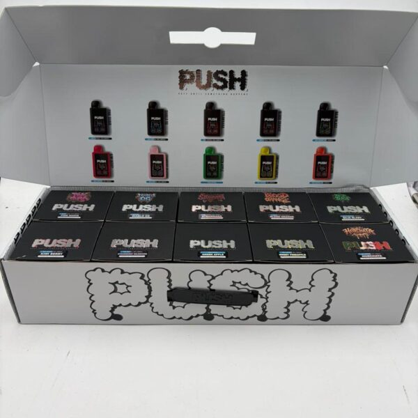 Push Horchata 2G Disposable