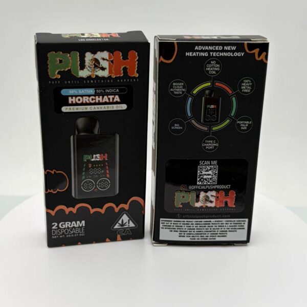 Push Horchata 2G Disposable