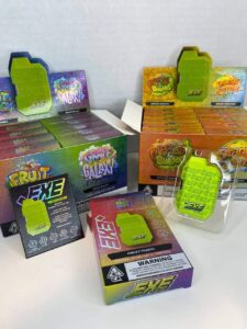 EXE 2G Disposable