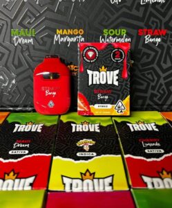 Trove 2g Disposable Vape
