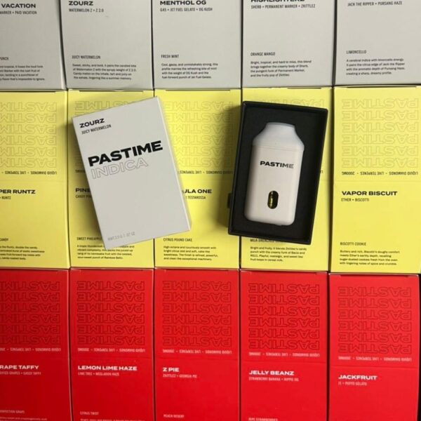 Pastime 2g Disposable