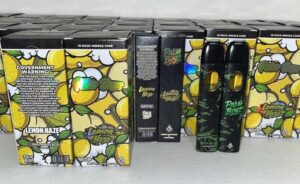 Palm Boyz V6 2G Disposable