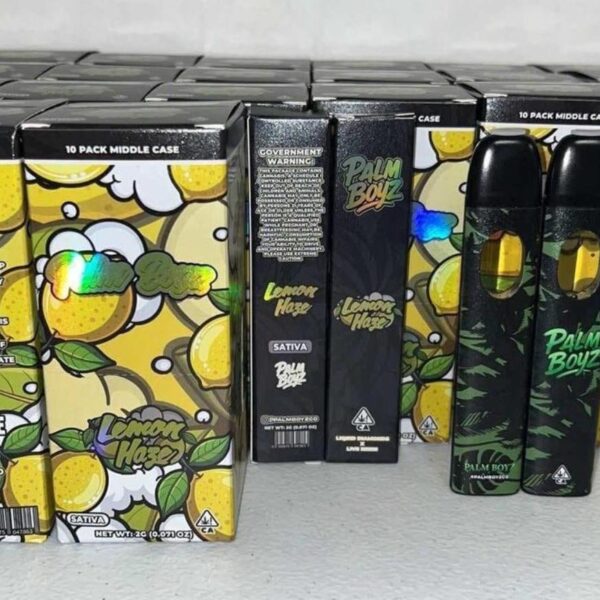 Palm Boyz V6 2G Disposable