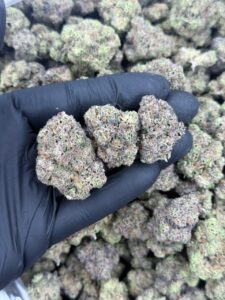 Potty Breath Strain