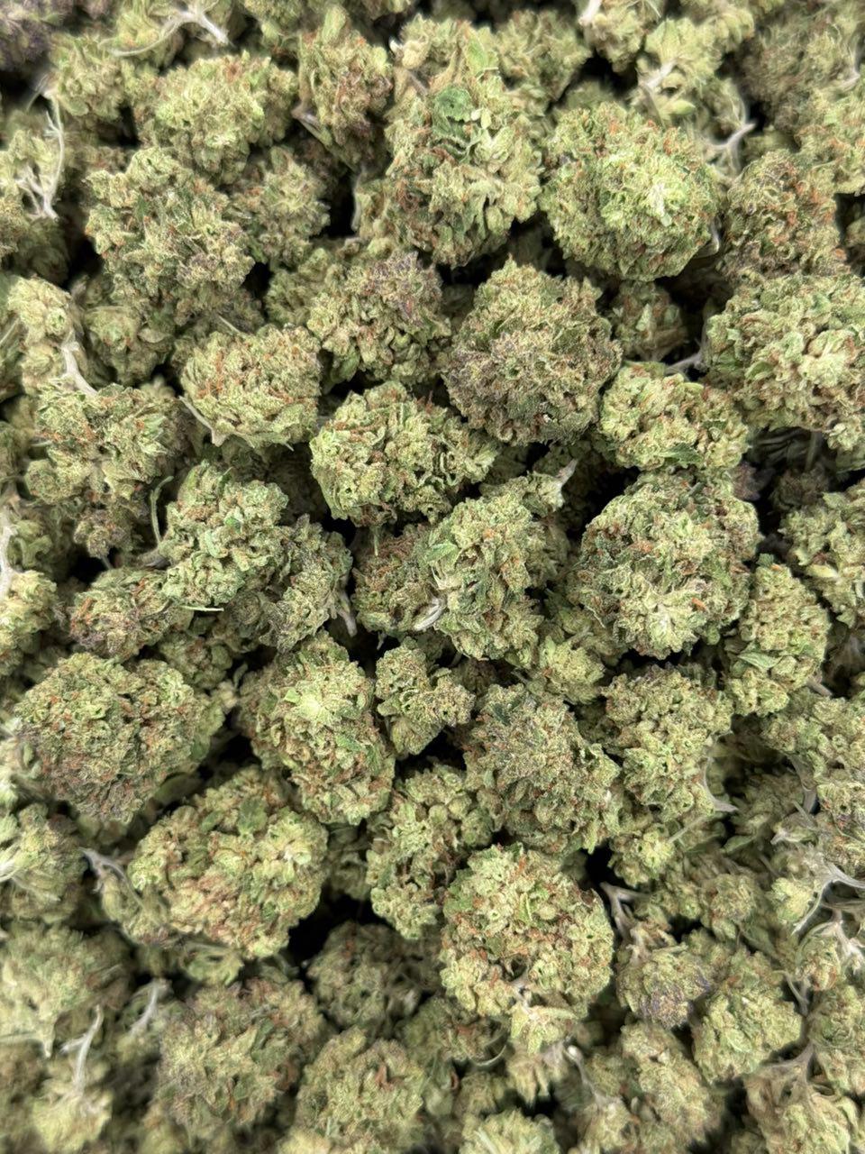 WhatsApp Image 2026-05-31 at 10.32.33 AM (1) Zechem Strain