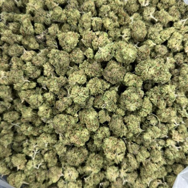 Zechem Strain