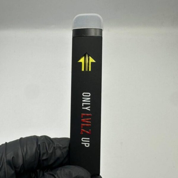 LVLZ 2G Disposable Vape
