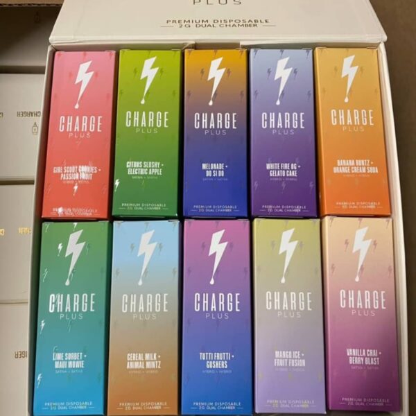 Charge Plus 2G Disposable