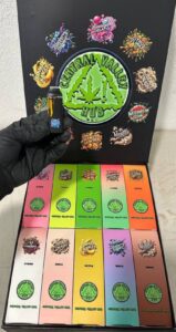 Central Valley Hub 2G Disposable