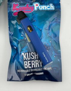 Kushy Punch 1G Disposable