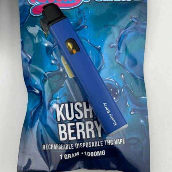 Kushy Punch 1G Disposable