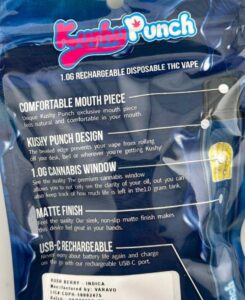 Kushy Punch 1G Disposable