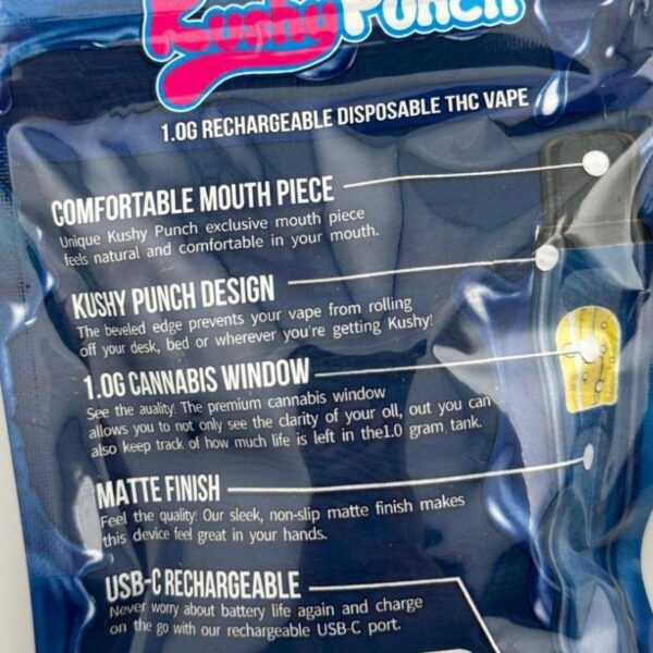 Kushy Punch 1G Disposable
