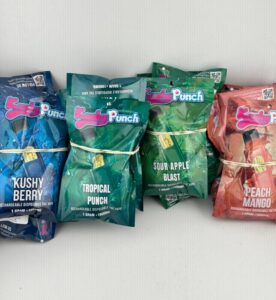 Kushy Punch 1G Disposable