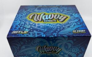Wavvy Extracts 2G Flip Disposable