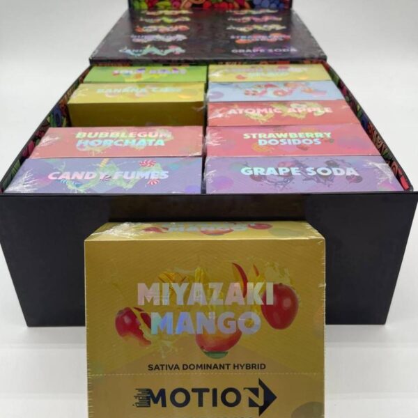 Motion 2G Disposable