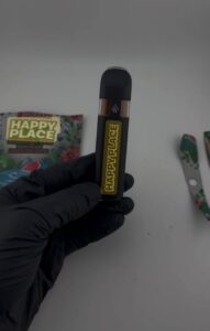 Happy Place 2G Disposable