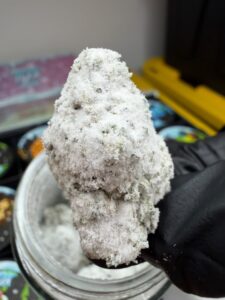 Tux Snowcaps Cannabis Strain