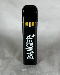 Banger 1G Disposable