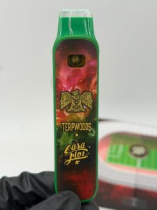 Terpwoods x Casa Flor Mangonada Disposable