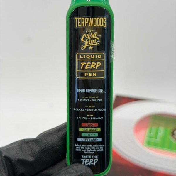 Terpwoods x Casa Flor Mangonada Disposable