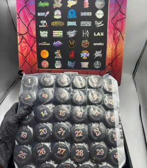 2026 California Zalympix Judge Kit